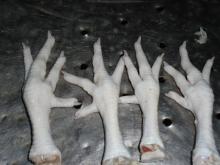 Chicken Paw