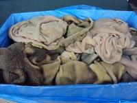 Beef tripe