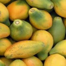 Fresh Papaya