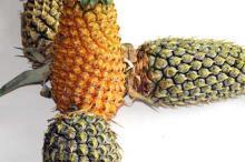 Fresh pineapples