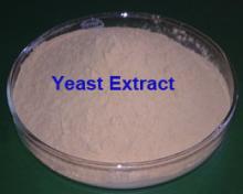 Yeast Extract from Baker's yeast