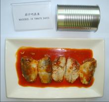 Canned mackerel in tomato sauce