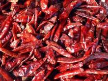 Dry chili papper