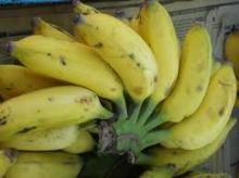 FRESH BANANA (MYSORE)