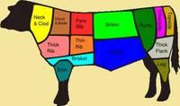 Frozen Meat