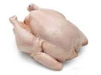 Grade A Frozen Whole Chicken for Sale