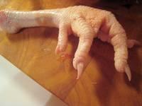 Poceesed Chicken Feet