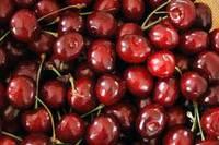 Grade A Fresh Cherry