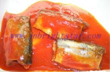 canned mackerel in 155g/425g