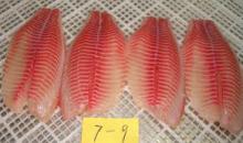 Deep Skinned Tilapia Fillet