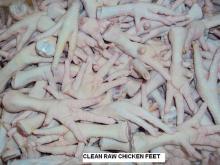 CHICKEN FEET PROCESSED GRADE A