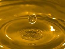 Crude Sunflower Oil