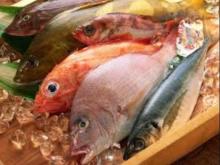 frozen fish