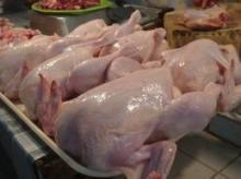 Halal Whole Chicken Grade A