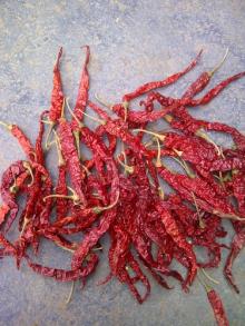 Red Hot Chili Pepper