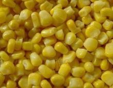 Fresh Maize