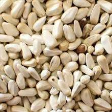 Safflowerseedss