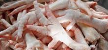 HALAL CHICKEN PAWS/ FEETS