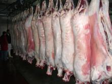 Halal Frozen Mutton and chicken feets
