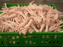 FROZEN CHICKEN PAWS