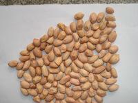 Peanuts