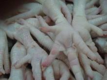 FROZEN CHICKEN PAWS