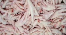 Frozen chicken feet ( grade A)
