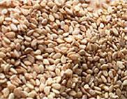 Natural Sesame seeds - BEST INDICATIVE OFFER