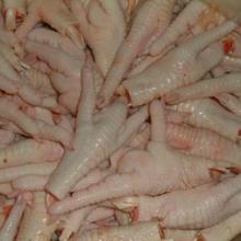 frozen Chicken feet