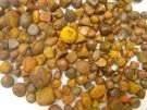 Ox Gallstones | Cattle Gallstones | Cow Gallstones