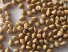 New crop beans and grains