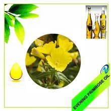evening primrose oil