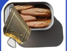 Canned Sardine