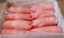 Pork Feet