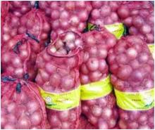 Holland Fresh Onion