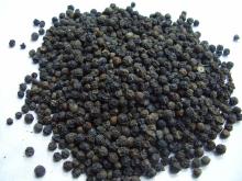 High Quality Black pepper and white pepper
