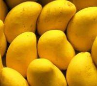 Fresh Mnagoes