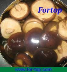 Canned Shiitake Mushroom in Brine Cm-006