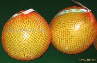 sell pomelo