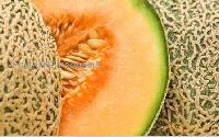 Indonesian Food Store on Cantaloupe Products United States Cantaloupe Supplier