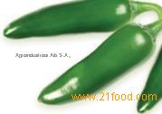 Jalapenos