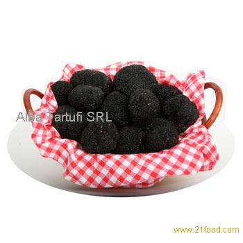 Tartufo nero estivo (size of 20 grams upwards)