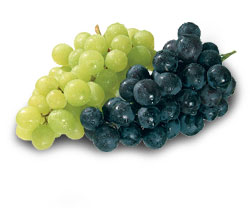 GRAPE