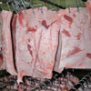 Iberian Pork Back Fat