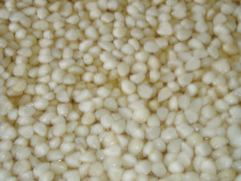 garlic in brine