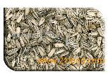 Kernels and Grains 1