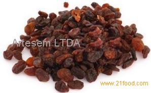 Sun Dried Raisins