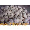 ASAH AGRIC GARLIC,CHILI PEPPER,ONION,GINGER,CARROTS,LICS