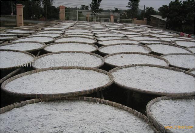 Tapioca Starch