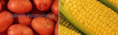 Starches